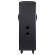 Diffusore DJ portatile IQ Sound TorusFlex 2×10" con Bluetooth – immagine 3